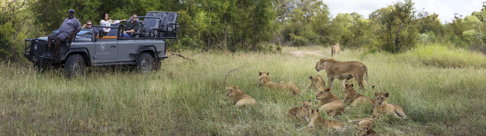 silvan-safari-activities-game-drive-wildlife-lions-01.jpg