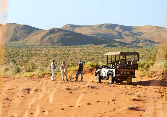 tswalu-game-drive.jpg
